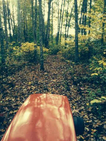 post-9836-0-16757400-1413663022_thumb.jp