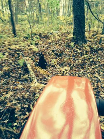 post-9836-0-35477600-1413662965_thumb.jp