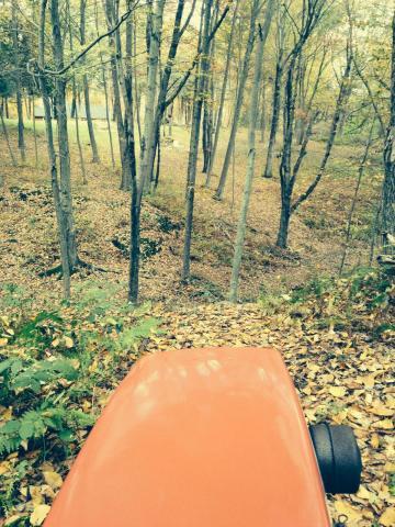 post-9836-0-53258000-1413662783_thumb.jp