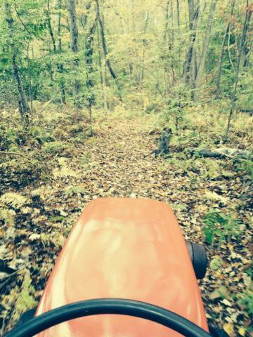 post-9836-0-56563700-1413662592_thumb.jp