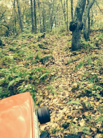 post-9836-0-66887900-1413662832_thumb.jp