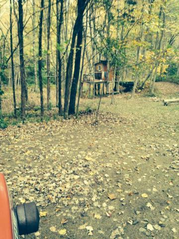 post-9836-0-69038000-1413662514_thumb.jp