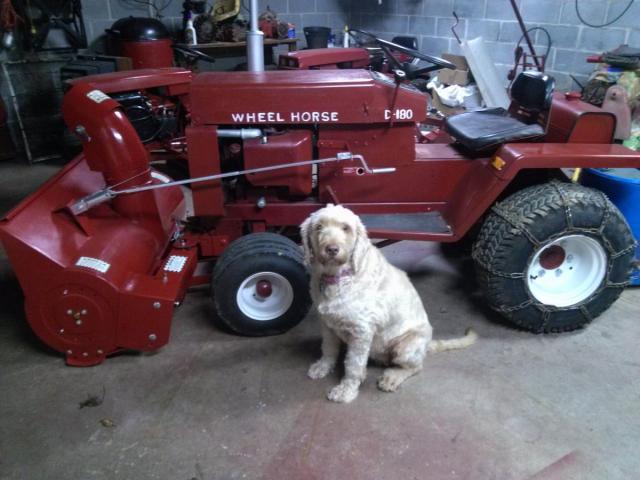 post-1933-0-86559000-1353451065_thumb.jp