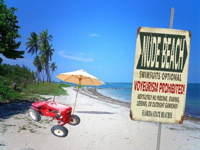 post-3498-0-25292000-1354067004_thumb.jp