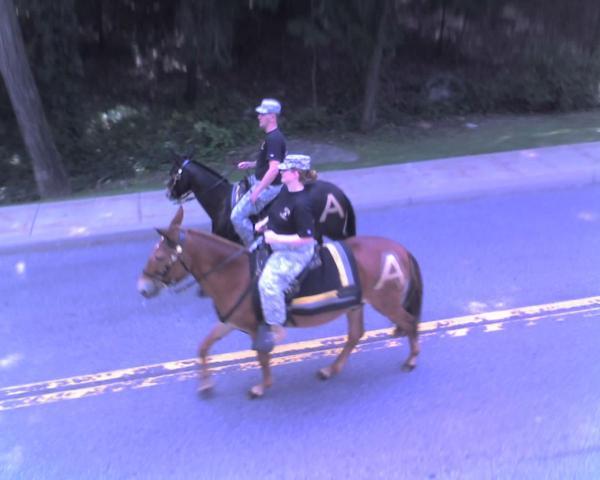 post-3498-0-69638900-1352640530_thumb.jp