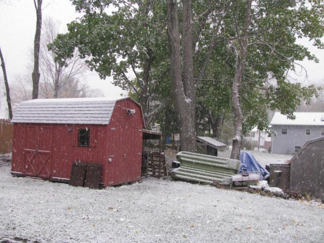 post-3498-0-92258700-1352321500_thumb.jp