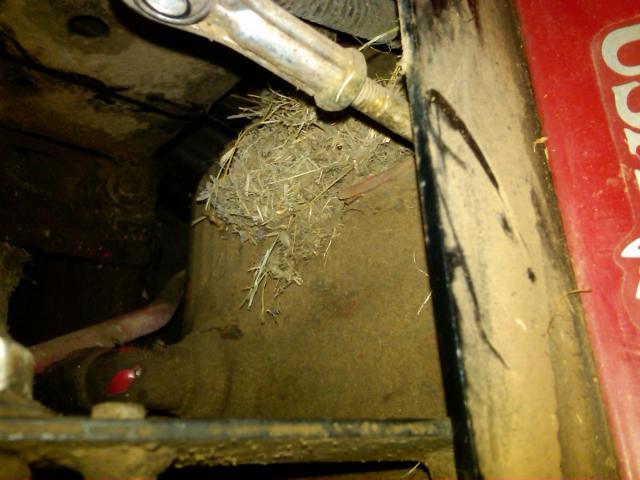 post-6085-0-53261400-1354044688_thumb.jp