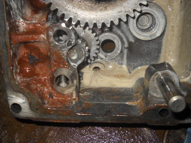 post-11591-0-47144500-1383443529_thumb.j