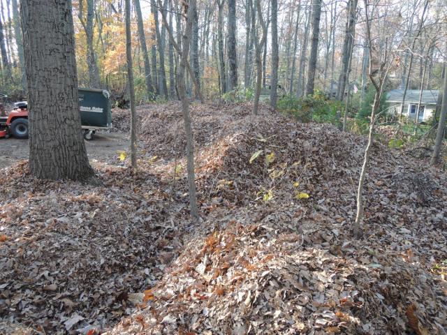 post-2221-0-63999500-1384182399_thumb.jp