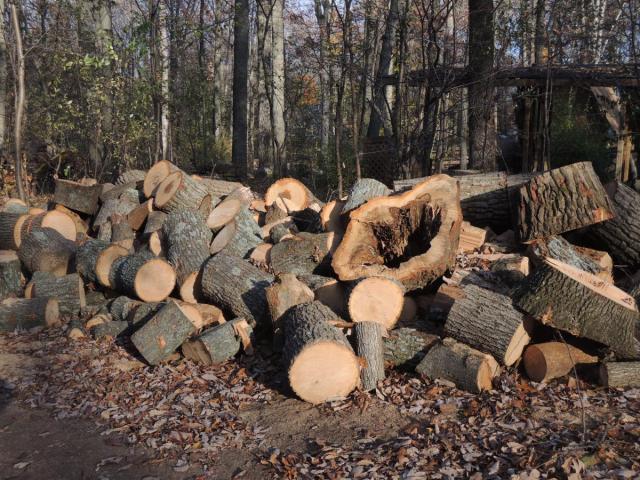 post-2221-0-89184000-1384182823_thumb.jp