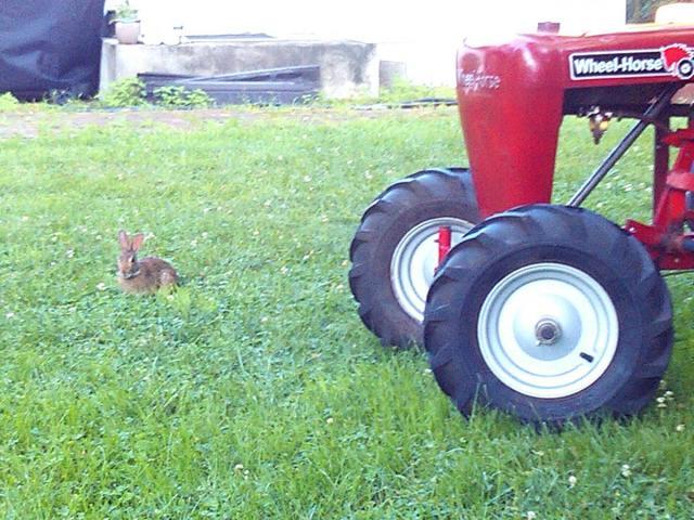 post-3498-0-85875900-1384306336_thumb.jp