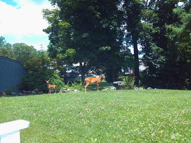 post-3498-0-92206700-1384311185_thumb.jp