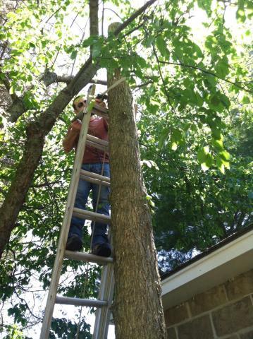 post-3621-0-21001600-1384193807_thumb.jp