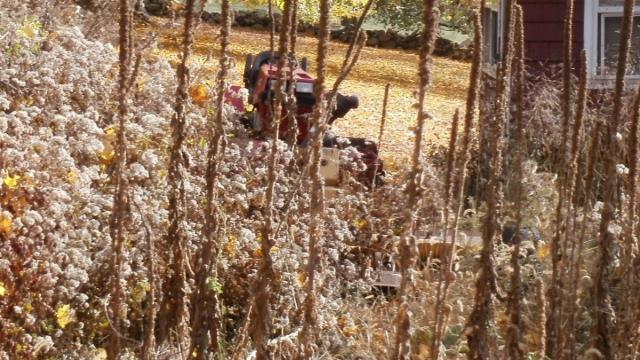 post-7287-0-27564800-1383689904_thumb.jp