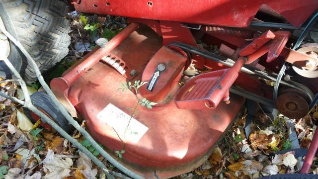 post-12073-0-00702500-1414954822_thumb.j