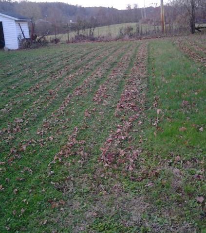 post-12671-0-73938500-1415677974_thumb.j