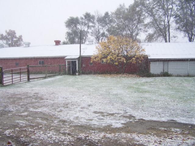 post-1334-0-77168100-1414805260_thumb.jp