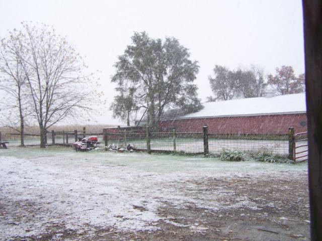 post-1334-0-79301400-1414805275_thumb.jp