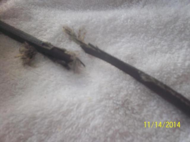 post-13665-0-92546800-1416860068_thumb.j