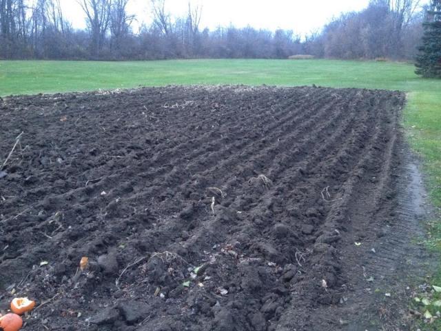 post-14209-0-30818400-1415577789_thumb.j