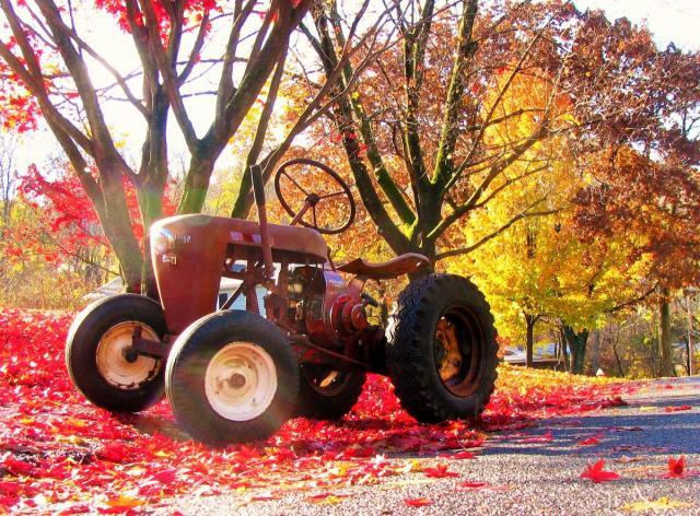 post-3498-0-02162500-1415980038_thumb.jp