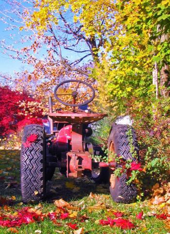 post-3498-0-02897900-1415979938_thumb.jp