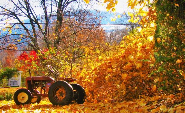 post-3498-0-14433900-1415980143_thumb.jp