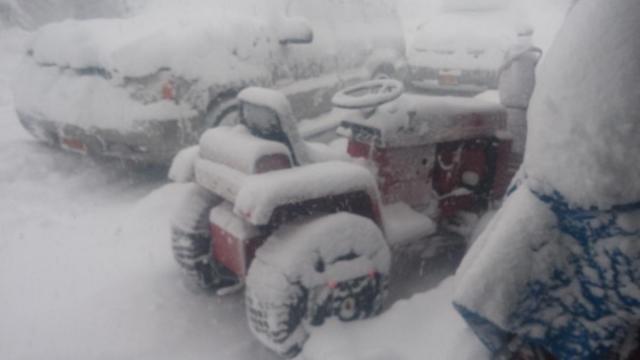 post-8224-0-33367800-1416352330_thumb.jp