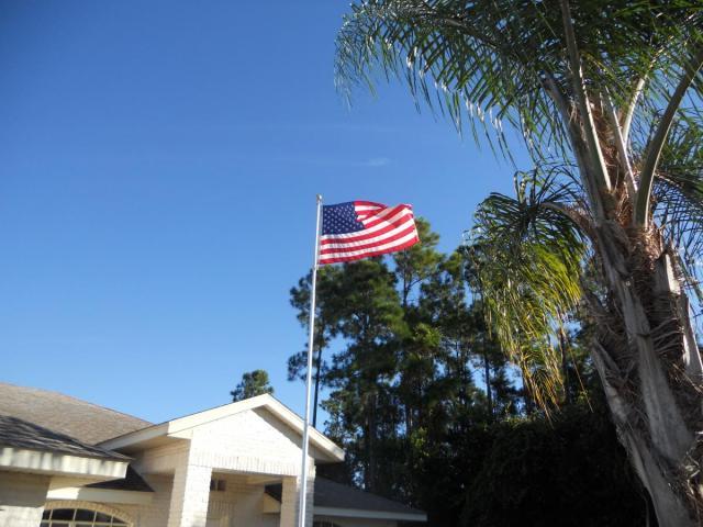 post-8408-0-06632500-1415713600_thumb.jp