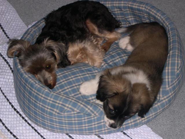 post-8408-0-93783400-1415571510_thumb.jp