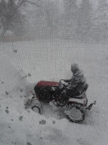 post-8772-0-33117100-1416399065_thumb.jp