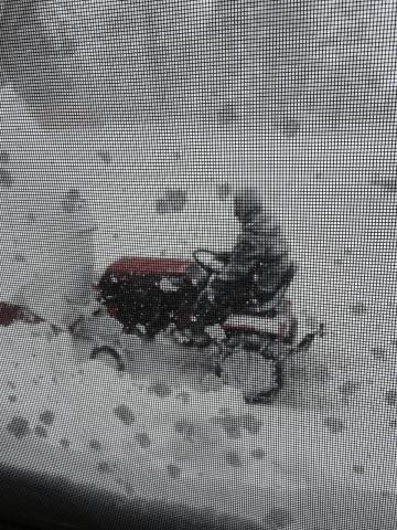 post-8772-0-57171200-1416343543_thumb.jp