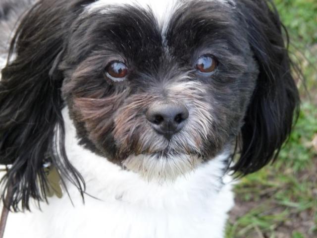 post-8977-0-23686800-1416519210_thumb.jp