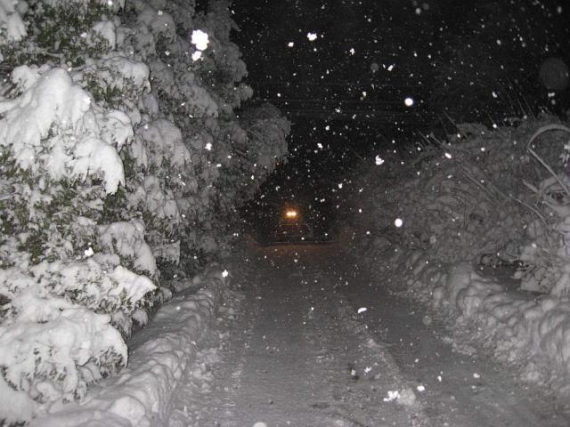 post-5872-0-06630500-1356831300_thumb.jp