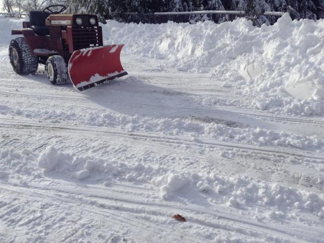 post-8427-0-49840100-1356902299_thumb.jp