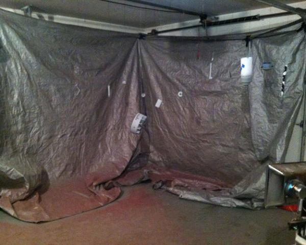 post-10744-0-70710500-1386877745_thumb.j