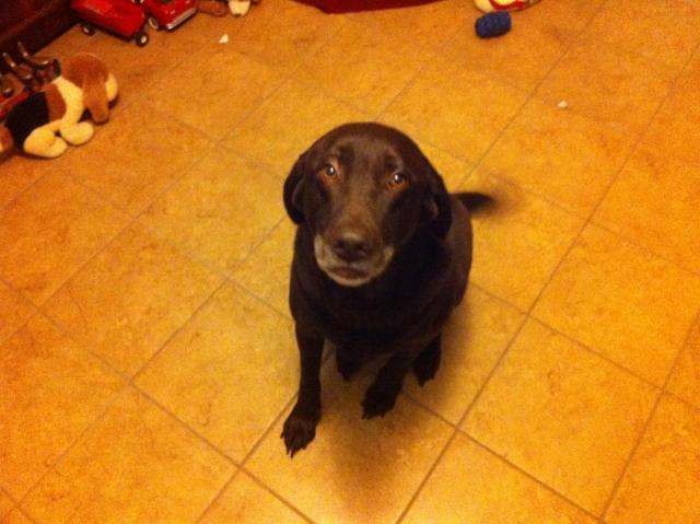 post-2380-0-57425600-1388237793_thumb.jp