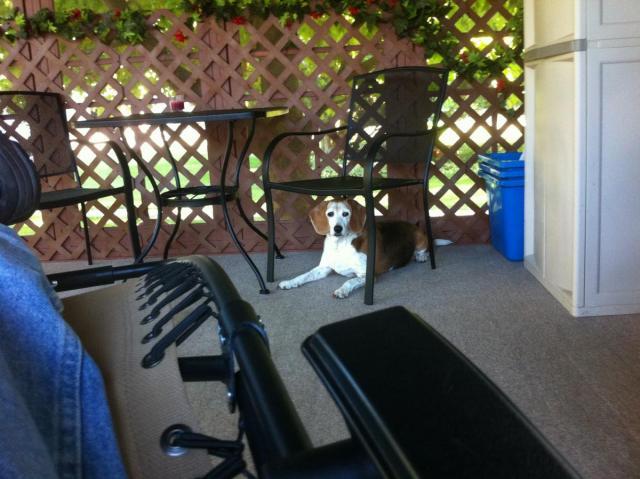 post-2380-0-85968400-1388237753_thumb.jp