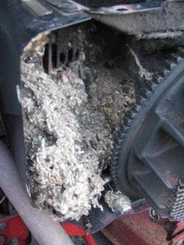 post-3498-0-35208700-1388270370_thumb.jp