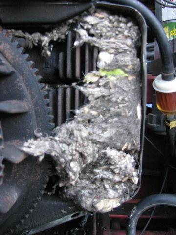 post-3498-0-51718900-1388270400_thumb.jp