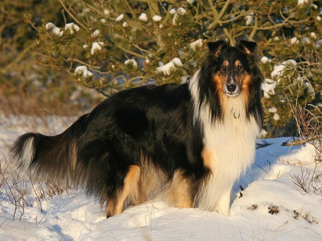 post-4084-0-44039400-1386596330_thumb.jp