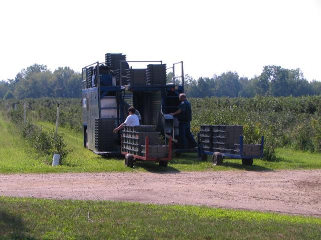 post-4240-0-24228100-1386469536_thumb.jp