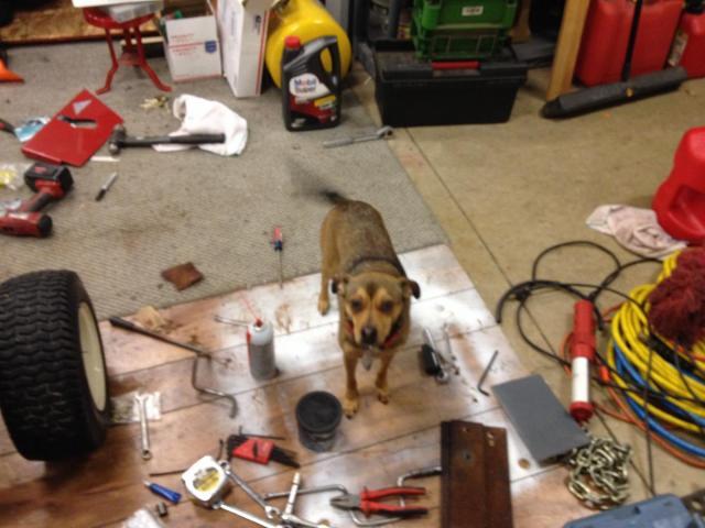 post-4321-0-74807500-1388215980_thumb.jp