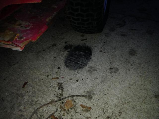 post-4321-0-87089000-1386286463_thumb.jp