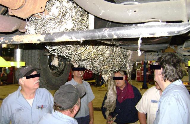 post-8332-0-84283900-1386473345_thumb.jp