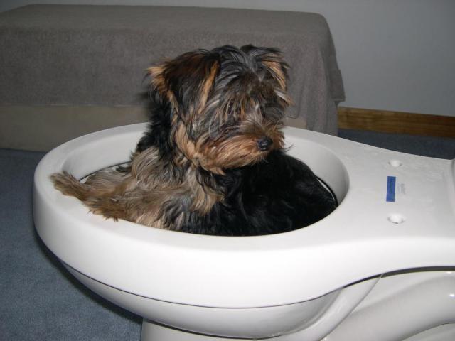 post-8408-0-84233300-1387240425_thumb.jp