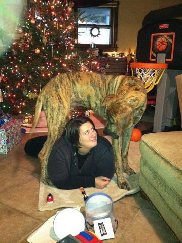 post-9777-0-17236800-1386595370_thumb.jp