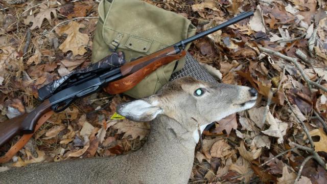 post-1933-0-53430600-1417549075_thumb.jp