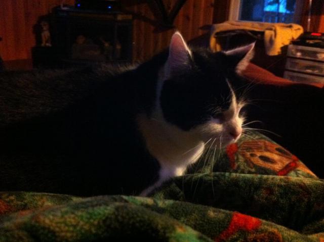 post-2380-0-09739700-1417905723_thumb.jp