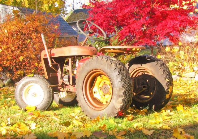 post-3498-0-88049200-1418682117_thumb.jp